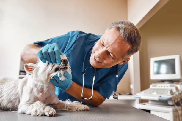 Best Emergency Tooth Extraction in Jarales, NM